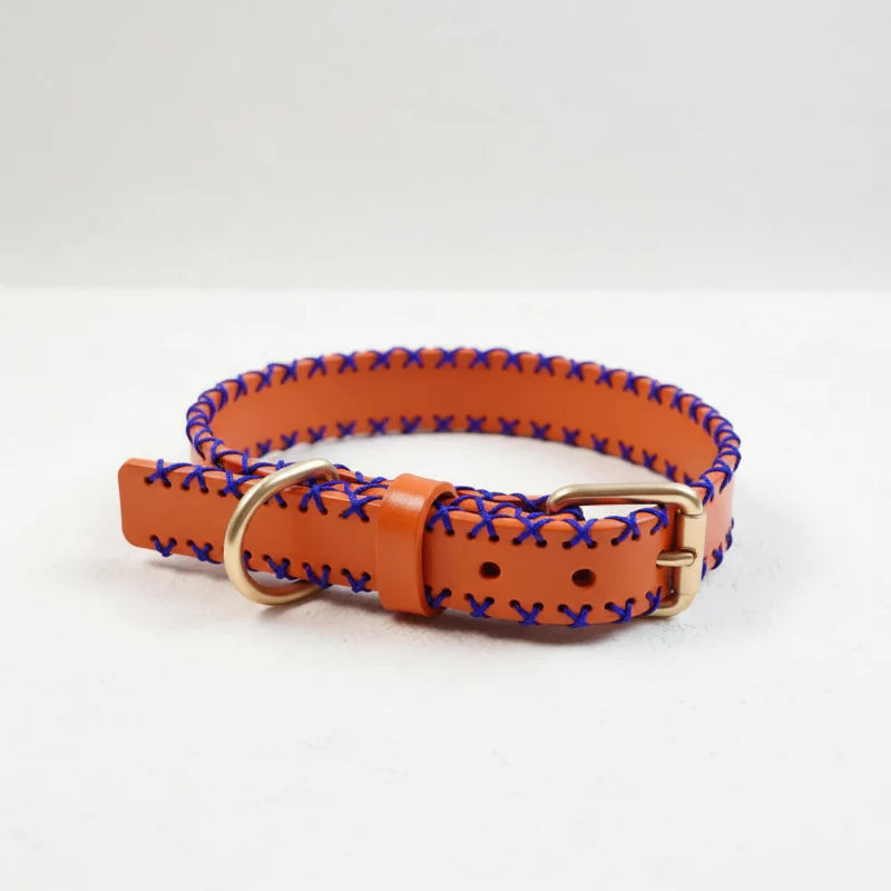 Collier en cuir pour chien orange avec des coutures bleues et une boucle en métal doré