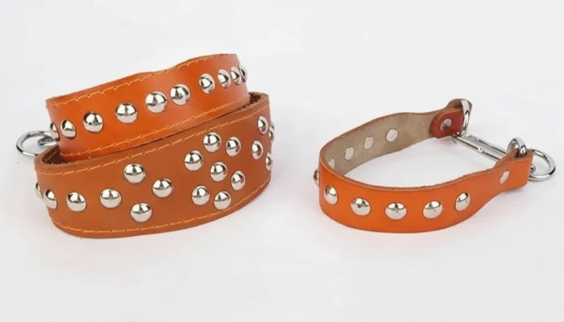 Collier en cuir pour chien orange avec clous métalliques pour un look robuste et tendance