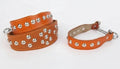 Collier en cuir pour chien orange avec clous métalliques pour un look robuste et tendance