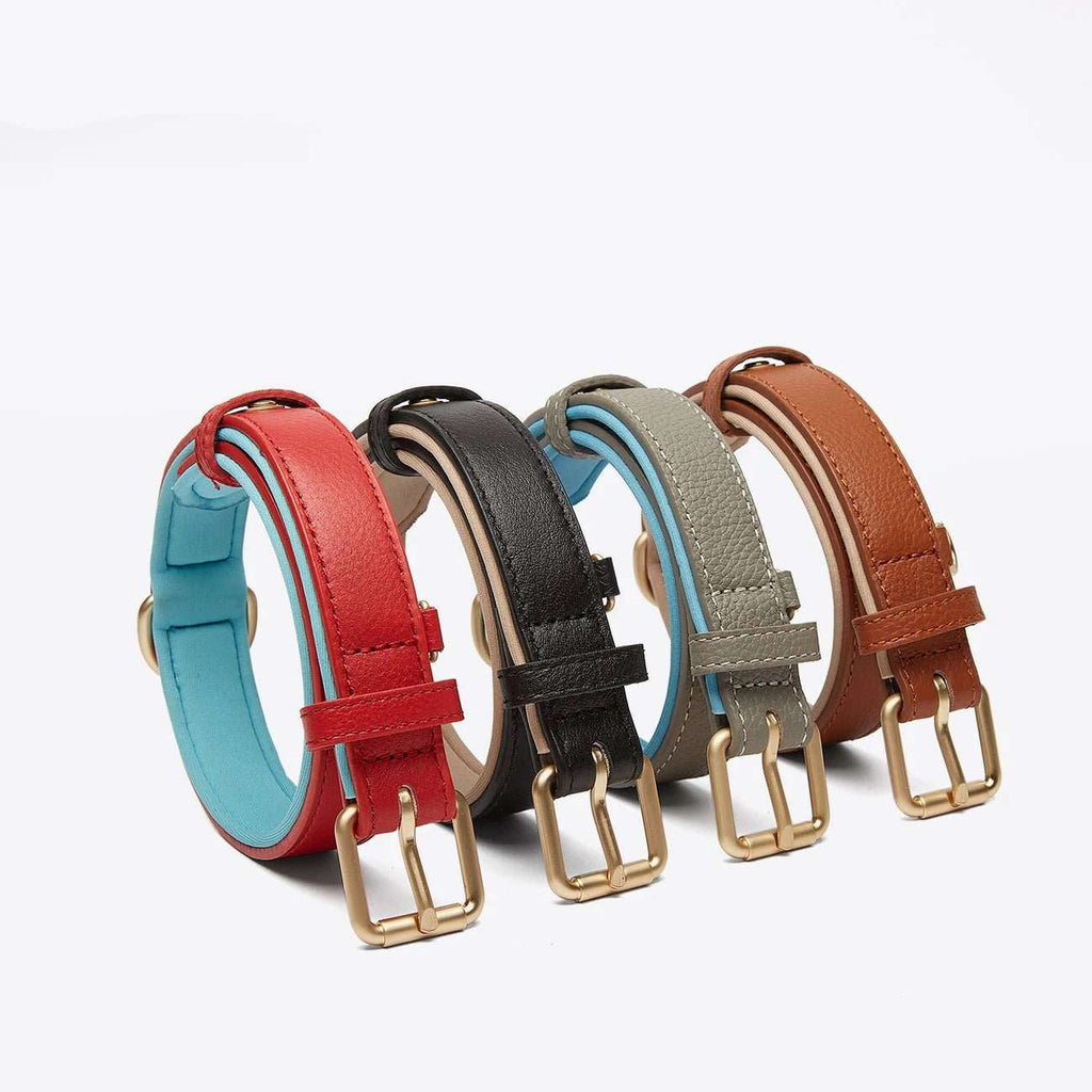Collier En Cuir Synthétique  Pour Chien Résistant Et Design