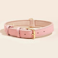Collier en cuir pour chien rose avec boucle dorée et doublure douce Oscar et Plume