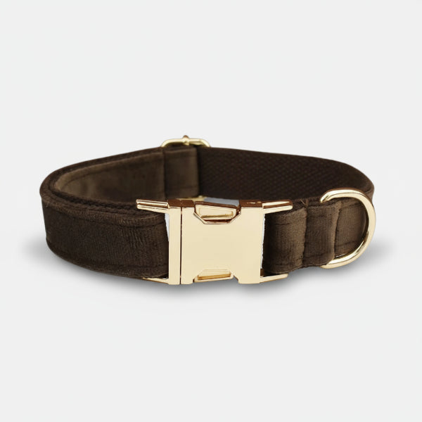 Collier velours chien Oscar et Plume - Élégance et confort