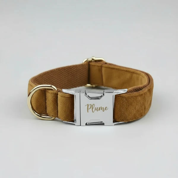 Collier en velours pour chien marron avec boucle dorée et personnalisation au nom Kelly