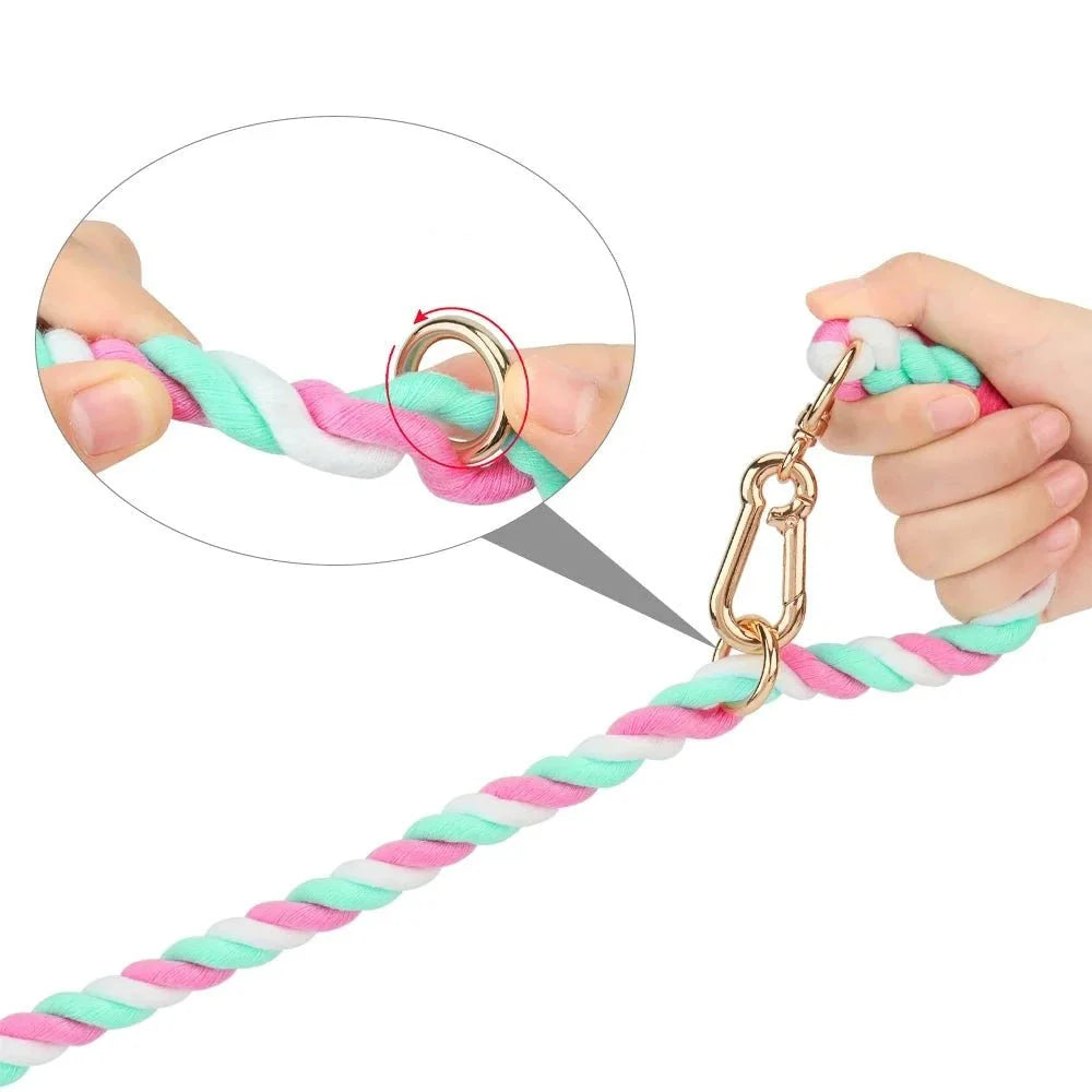 Collier Et Laisse En Coton Résistant