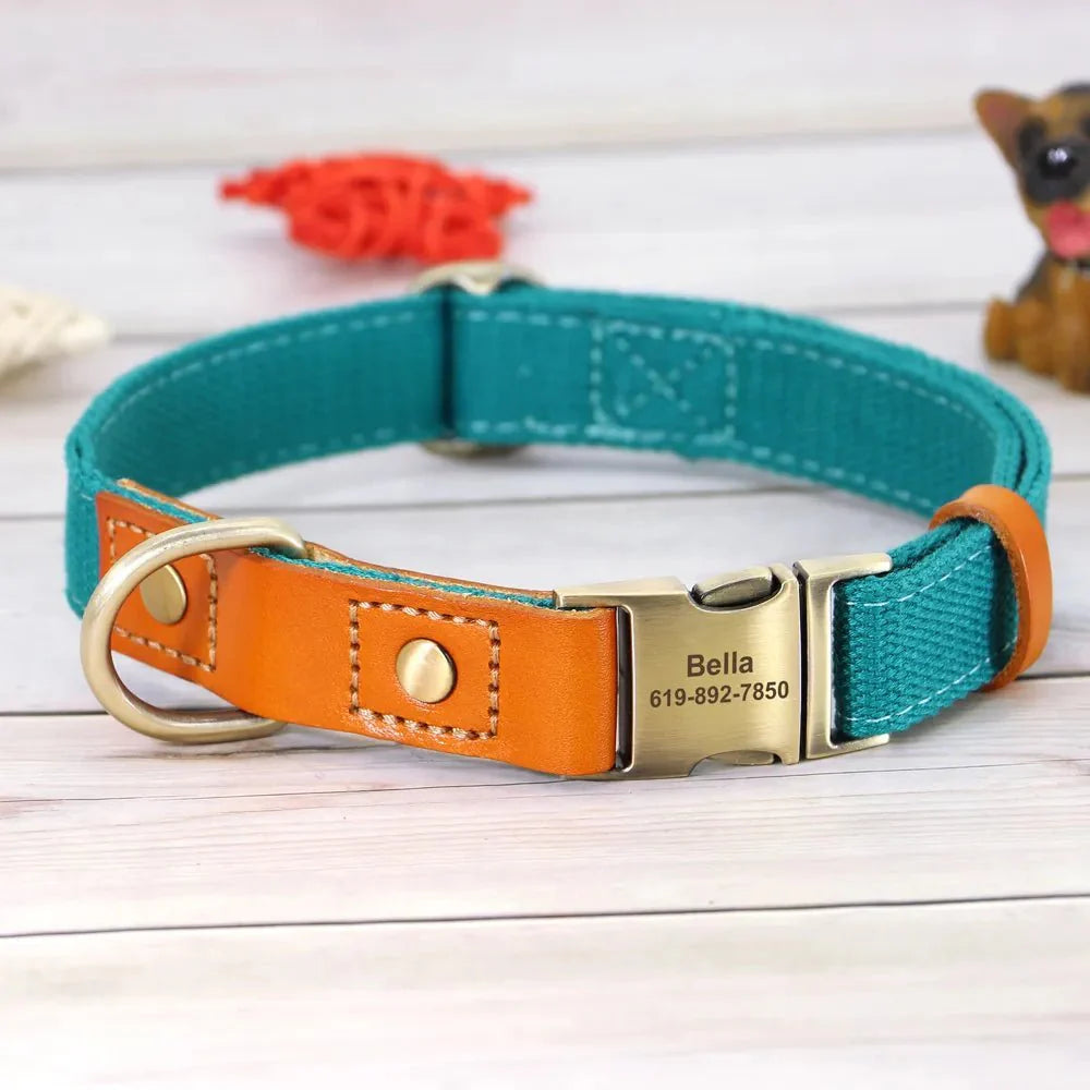 Collier et laisse personnalisable chien en nylon bleu et cuir orange avec fermeture métallique gravée