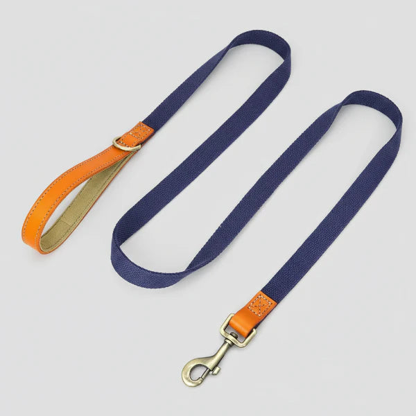 Laisse bleu marine avec poignée en cuir orange collier et laisse personnalisable chien Oscar et Plume