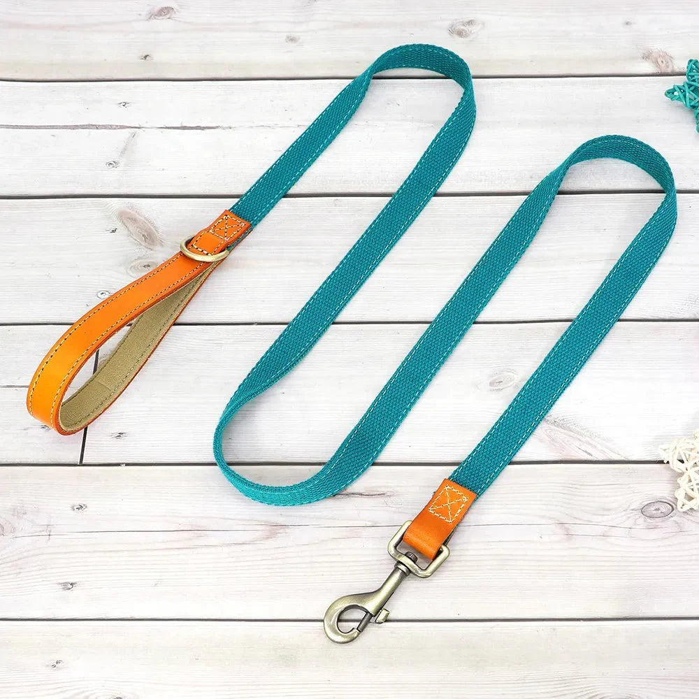 Laisse verte avec poignées en cuir marron par Oscar et Plume pour collier et laisse personnalisable chien