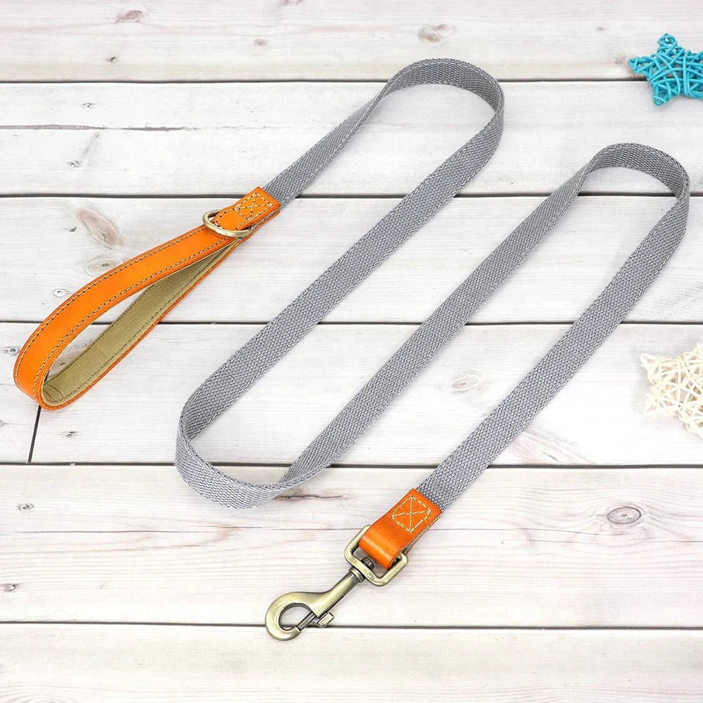 Laisse grise en tissu avec poignée en cuir orange, collier et laisse personnalisable chien Oscar et Plume