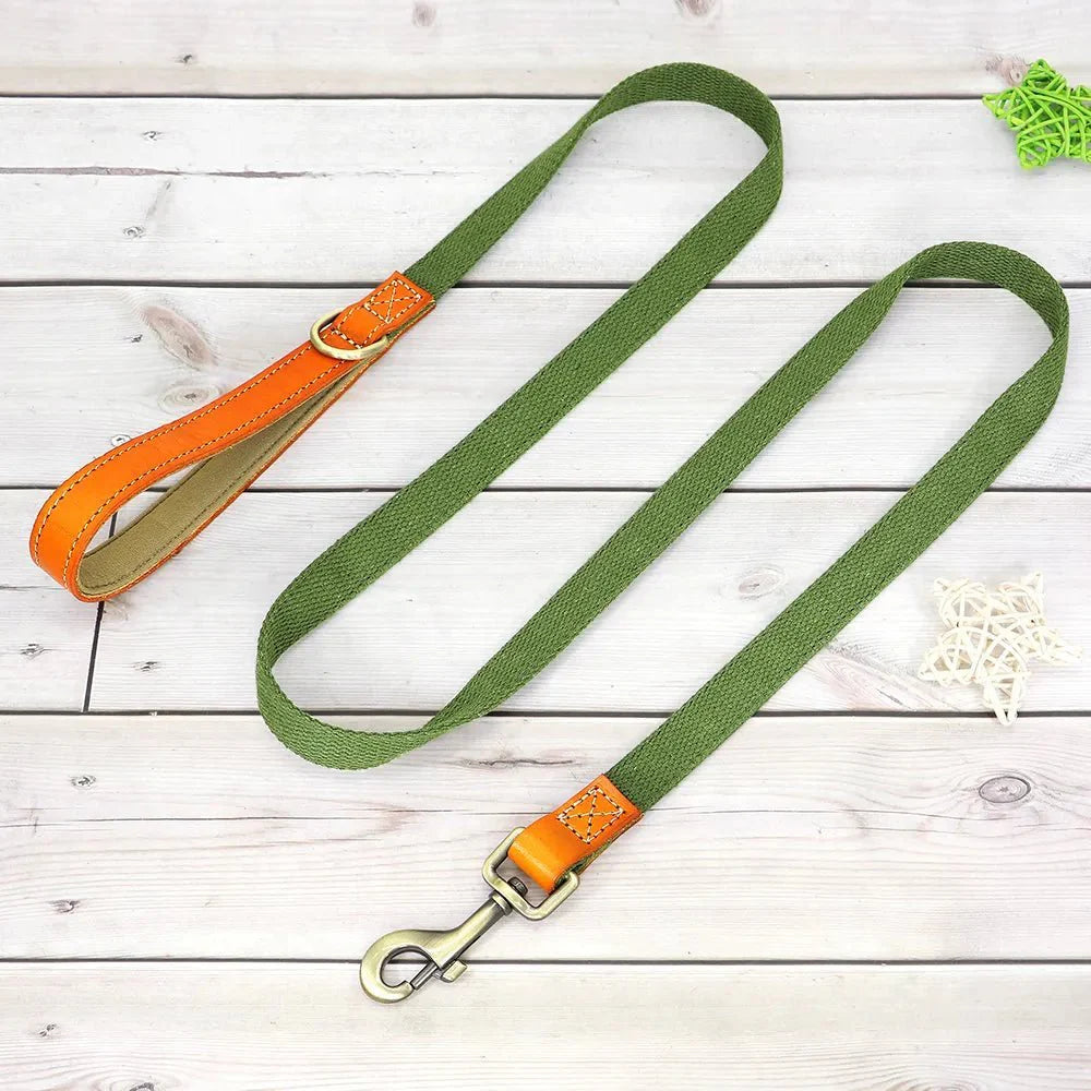 Laisse verte avec poignée en cuir marron de collier et laisse personnalisable chien Oscar et Plume