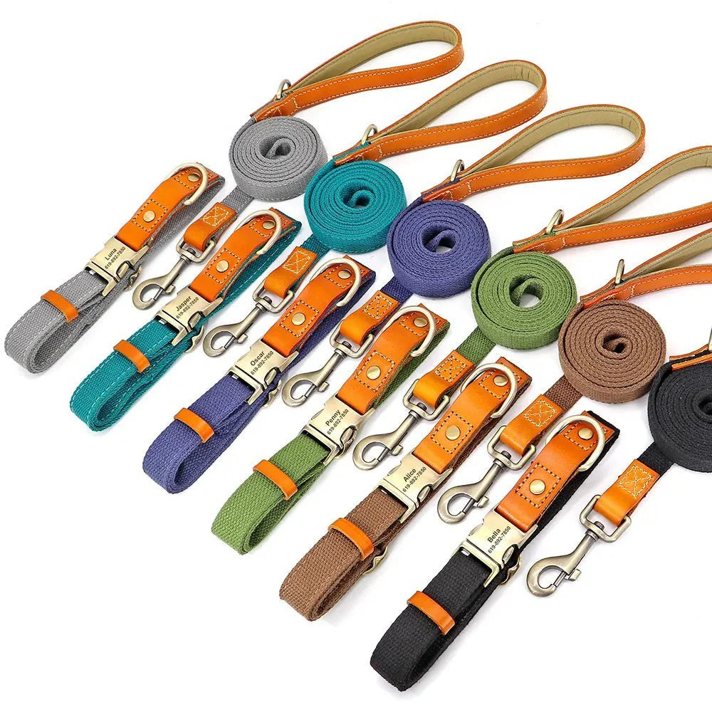 Collier pour chien personnalisable en nylon et cuir