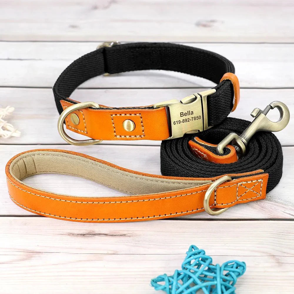 Collier et laisse personnalisable chien en cuir orange et noir avec gravure nom et téléphone