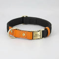 Collier et laisse personnalisable chien en cuir orange avec fermeture métallique gravée par Oscar et Plume