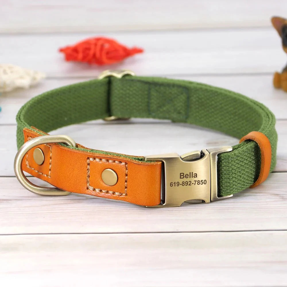 Collier pour chien personnalisable en nylon et cuir