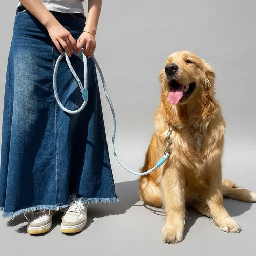 Laisse et collier tressé pour chien robuste et résistant