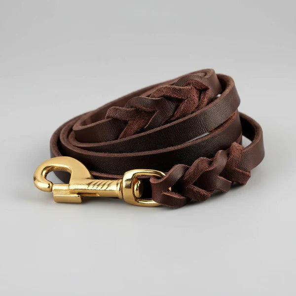 Collier et laisse en cuir pour chien - Design tressé de luxe