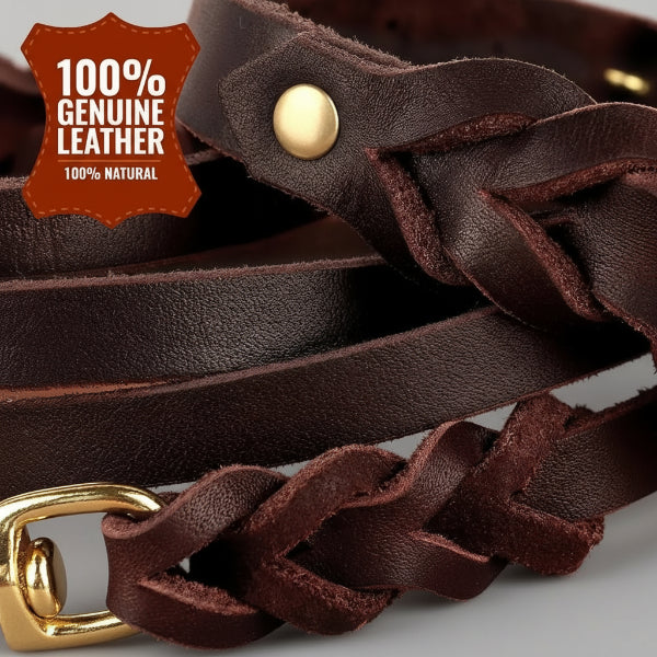Collier et laisse en cuir pour chien - Design tressé de luxe