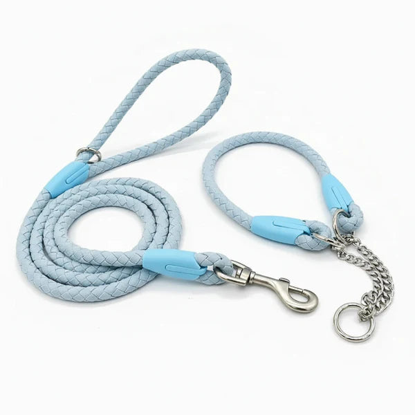 Laisse et collier tressé pour chien robuste et résistant
