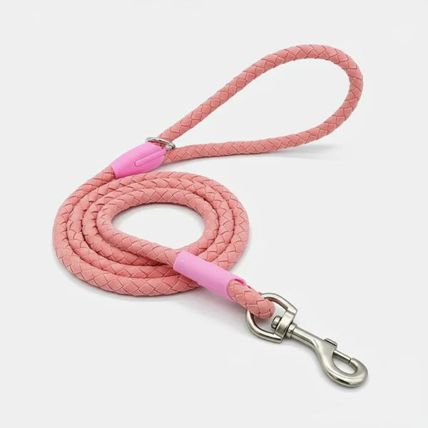 Laisse rose tressée avec mousqueton métal pour collier et laisse pour chien Oscar et Plume