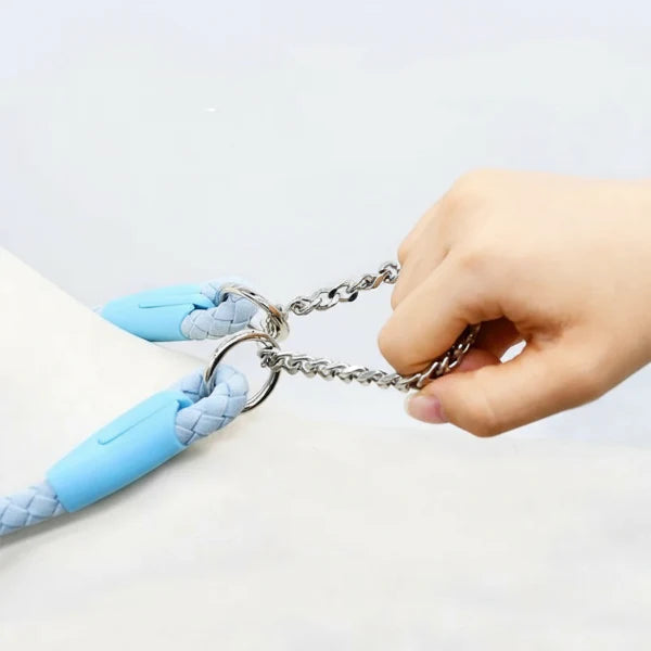 Laisse et collier tressé pour chien robuste et résistant