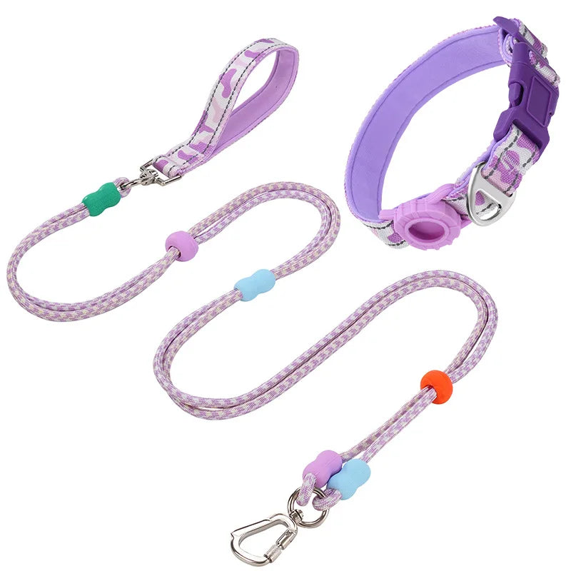 Ensemble collier et laisse pour chien en violet et rose, idéal pour les promenades confortables