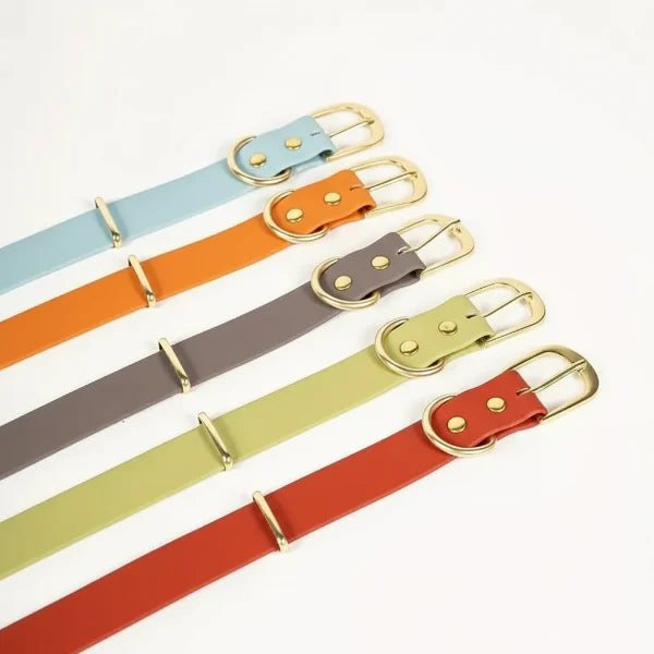 Collier Imperméable Pour Chien Design Et Résistant