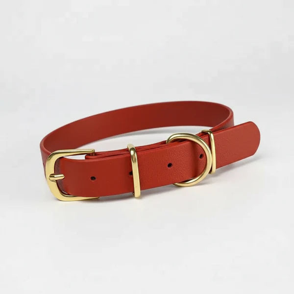 Collier imperméable chien rouge avec boucle et anneau dorés de la marque Oscar et Plume