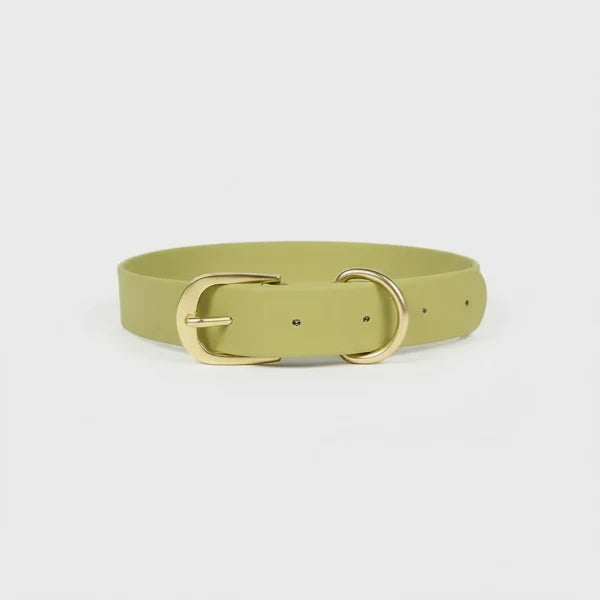 Collier imperméable chien Oscar et Plume beige avec boucle dorée en plusieurs tailles