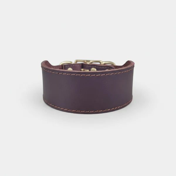 collier large pour chien en cuir marron fonce Oscar et Plume large bande rembourree avec couture visible et boucle metal