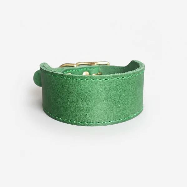collier large pour chien vert en cuir suédé avec boucle dorée Oscar et Plume rembourré et robuste