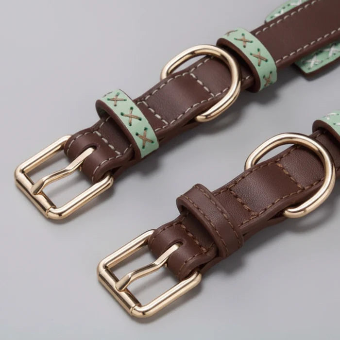 Collier Large Amovible Pour Lévrier Et Whippet