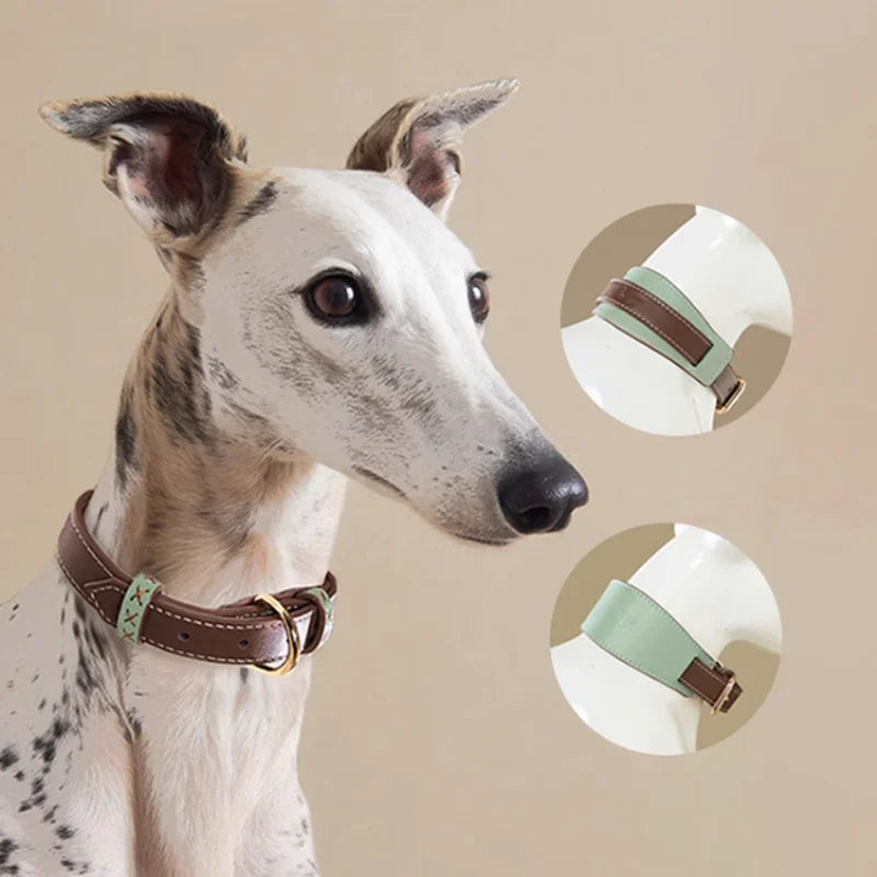 Collier Large Amovible Pour Lévrier Et Whippet