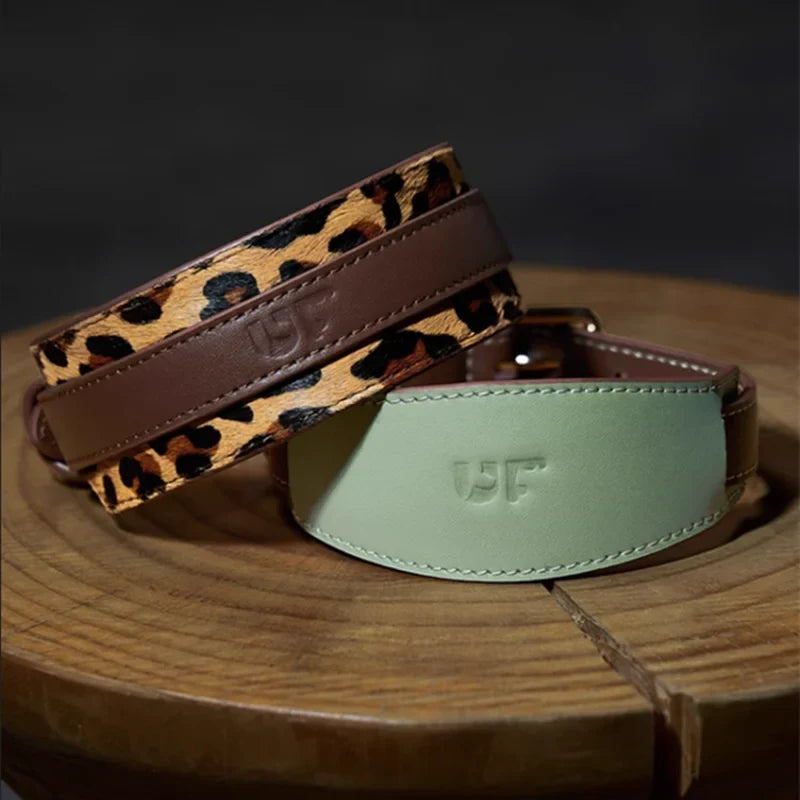 Collier Large Amovible Pour Lévrier Et Whippet