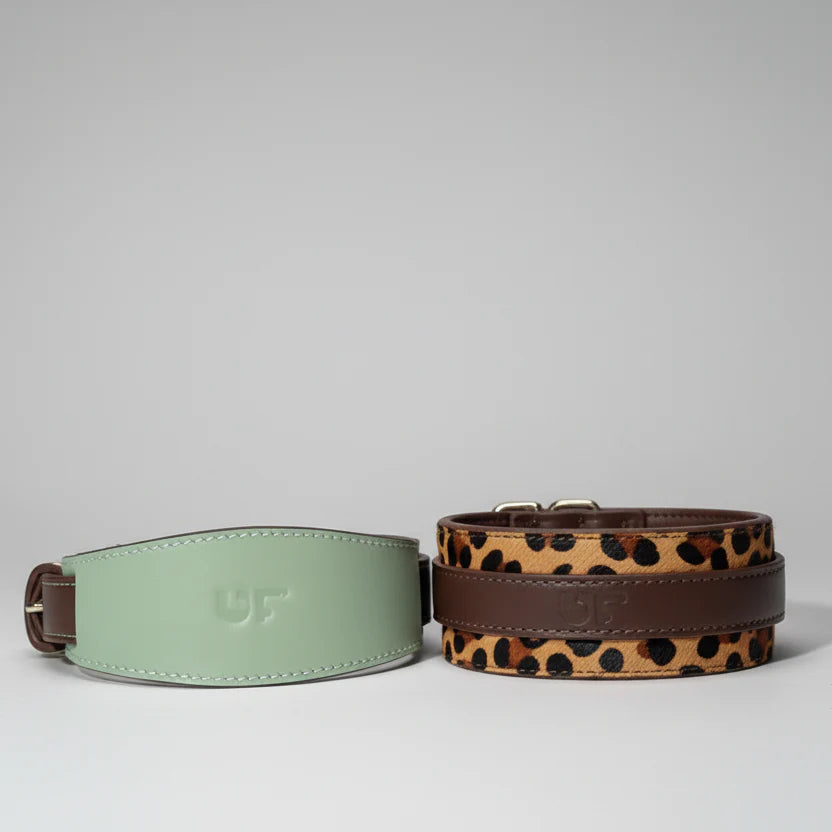 Collier Large Amovible Pour Lévrier Et Whippet