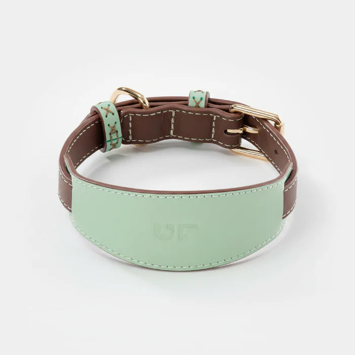 Collier large pour lévrier en cuir vert menthe et marron, conçu pour le confort des chiens