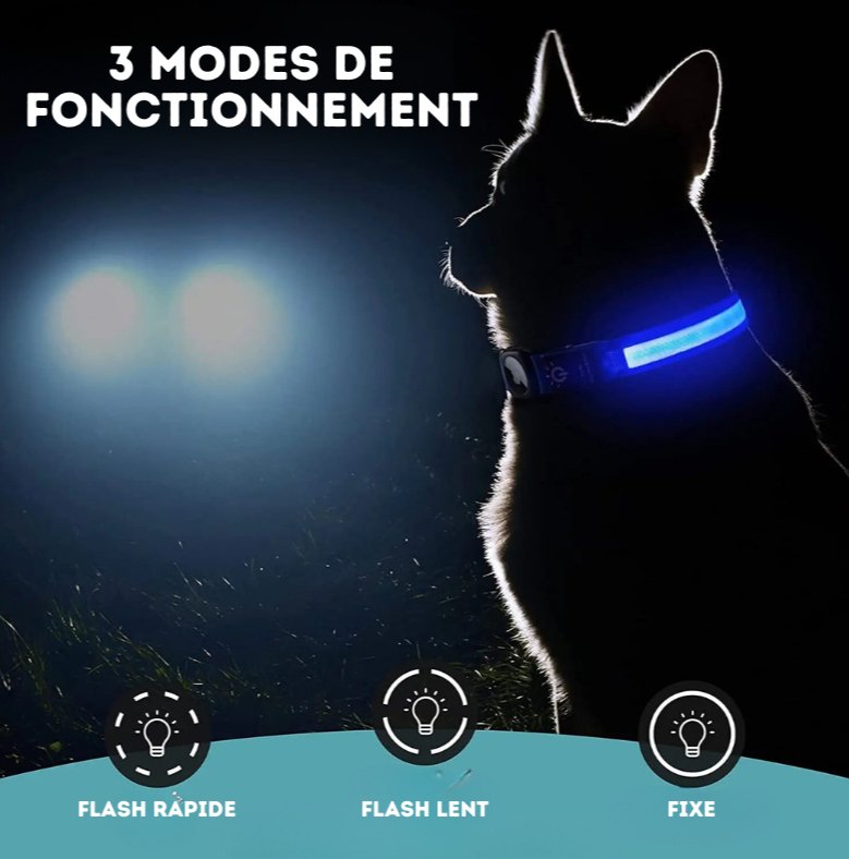 Collier Led Avec Emplacement Airtag Pour Chien