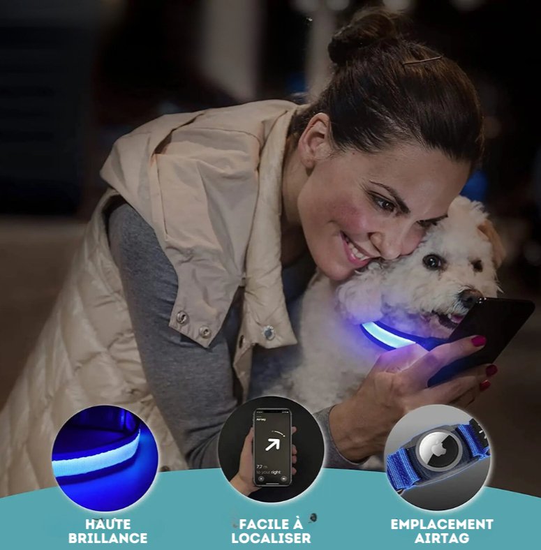 Collier Led Avec Emplacement Airtag Pour Chien