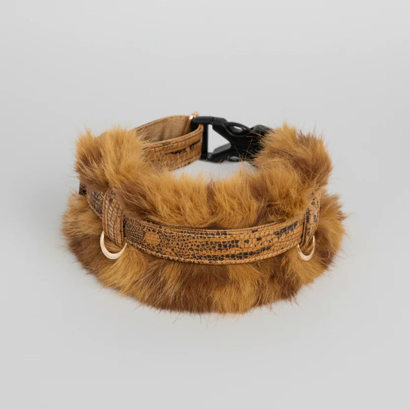 Collier lévrier en fausse fourrure amovible | Oscar et Plume