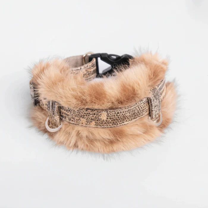 Collier lévrier en fausse fourrure Oscar et Plume, élégant et doux pour les chiens de race lévrier