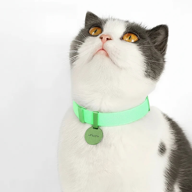 Collier Lumineux Anti Étranglement Personnalisable Pour Petit Chien Et Chat
