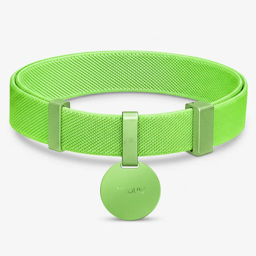 Collier lumineux anti étranglement chat en vert pour une sécurité accrue lors des sorties nocturnes