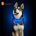     collier-lumineux-chien-bleu-hushy