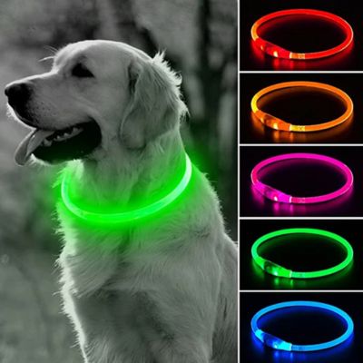 Collier lumineux chien | Vizilight™