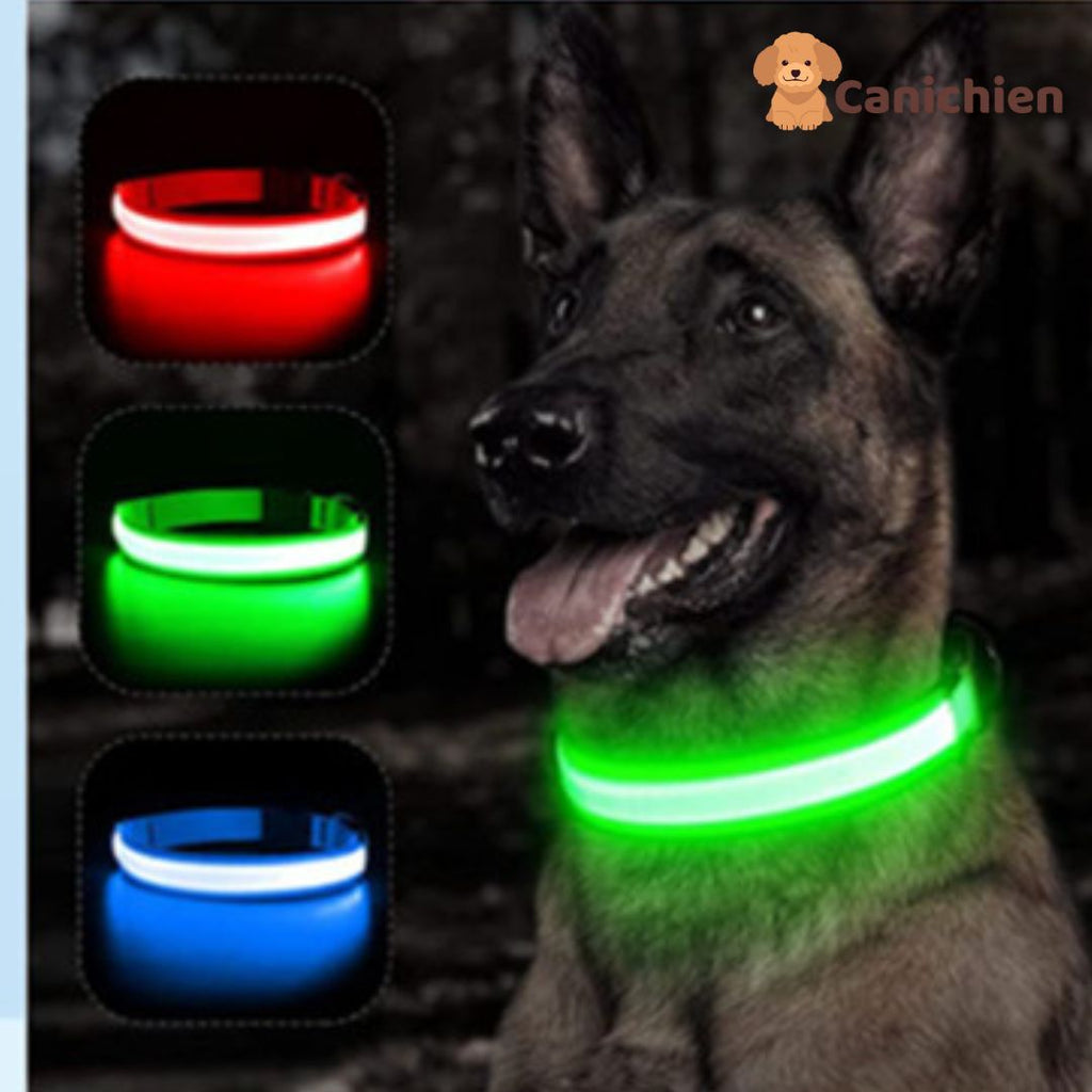 Collier Lumineux Chien NightGuard™ – Rechargeable