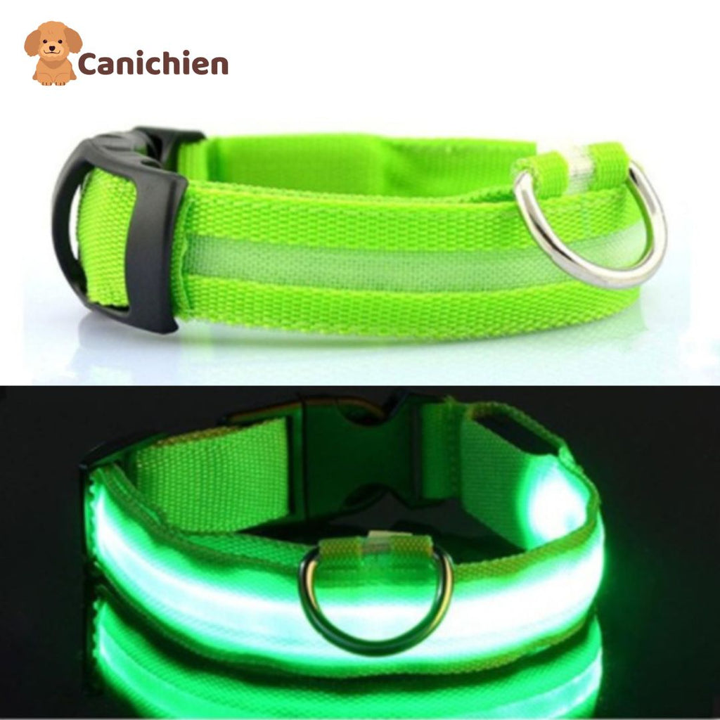 Collier Lumineux Chien NightGuard™ – Rechargeable