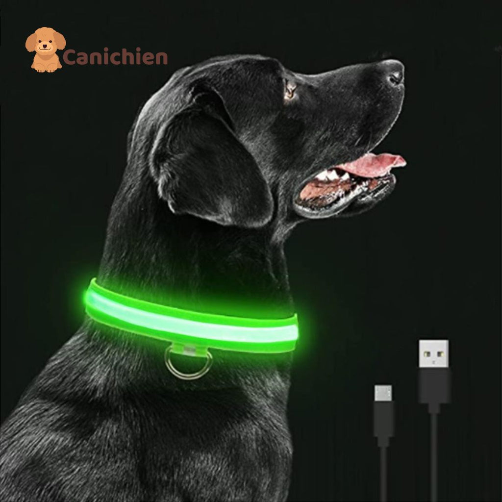 Collier Lumineux Chien NightGuard™ – Rechargeable