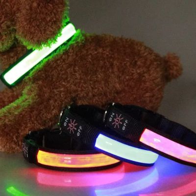 Collier Lumineux pour Chien - NightVision™