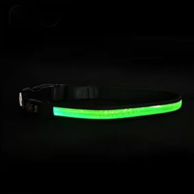 Collier Lumineux pour Chien - NightVision™