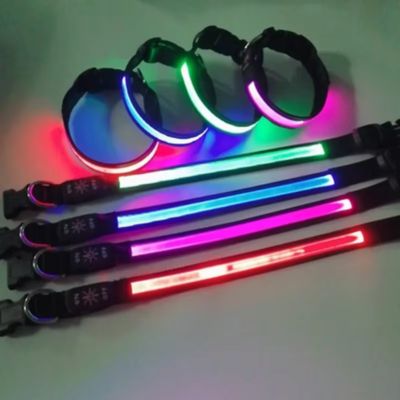 Collier Lumineux pour Chien - NightVision™