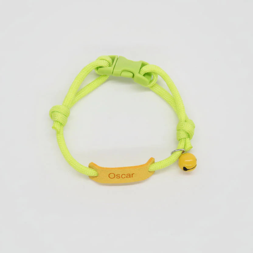 Collier personnalisable pour chien et chat en vert avec un pendentif et un nom gravé