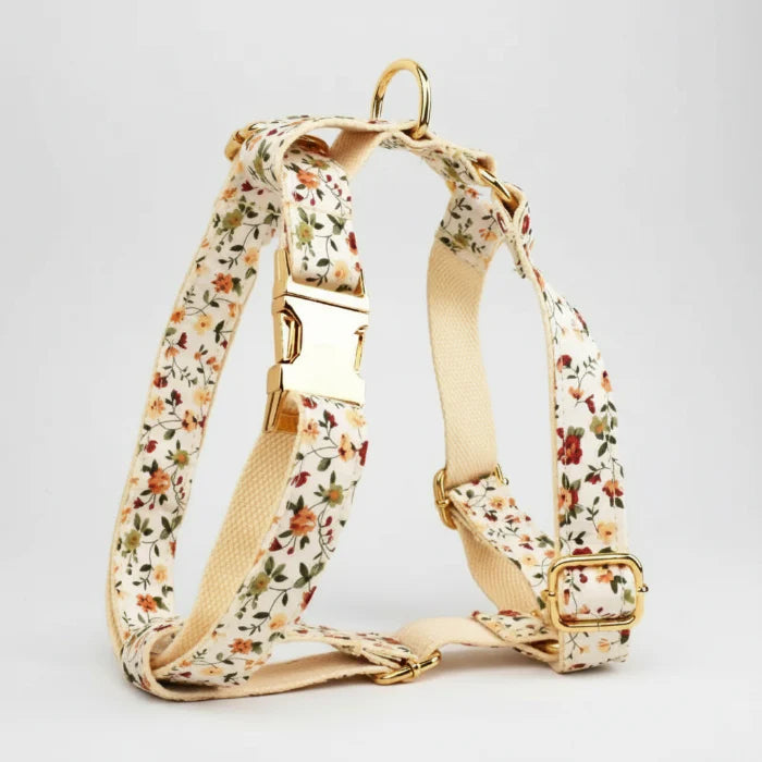 Collier personnalisable Pour Chien floral avec boucles dorées ajustables de Oscar et Plume